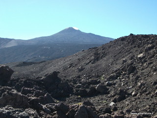 nte Pizzillo-21-10-2012 11-18-10